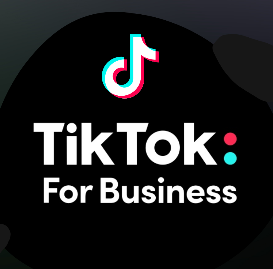 Trfego Pago Tiktok Ads